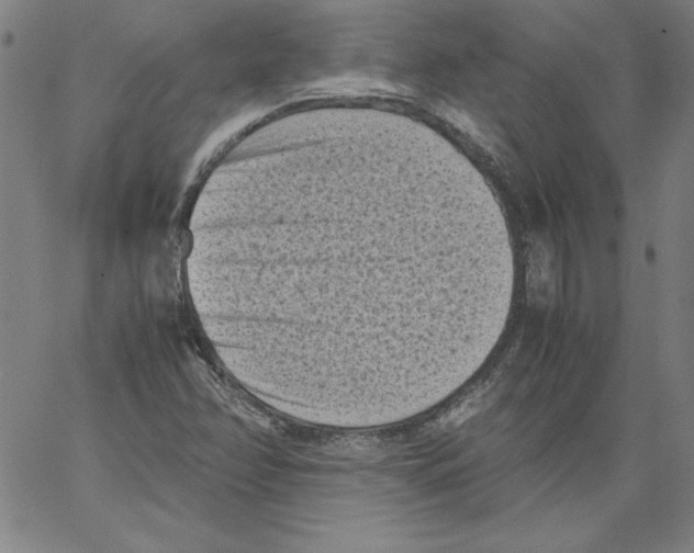 X0000066961358200604211831