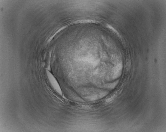 X0000066961361200604211830