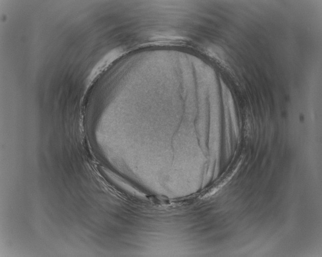 X0000066961362200604211830