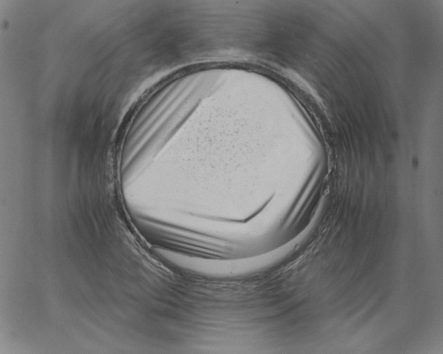 X0000066961364200604211830