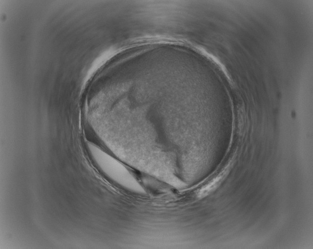 X0000066961365200604211830