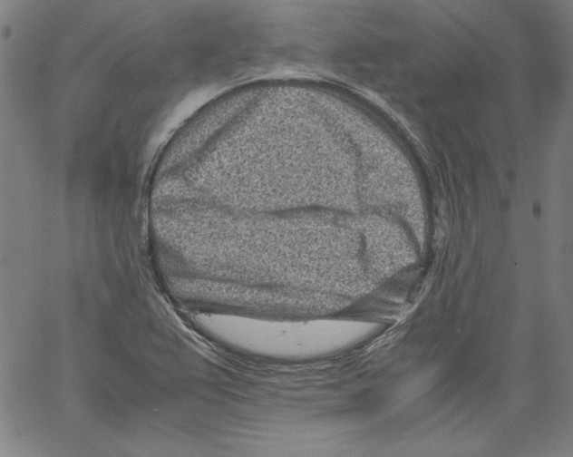 X0000066961367200604211830