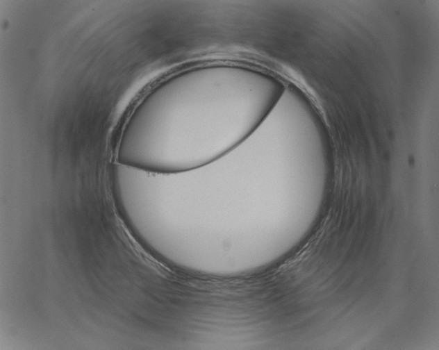 X0000066961368200604211830