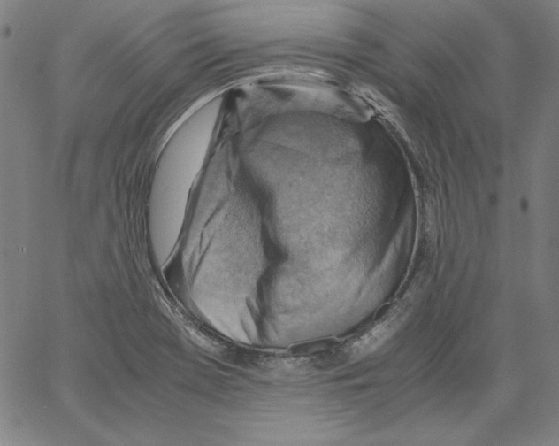 X0000066961369200604211830