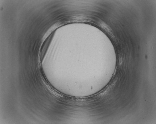 X0000066961370200604211830