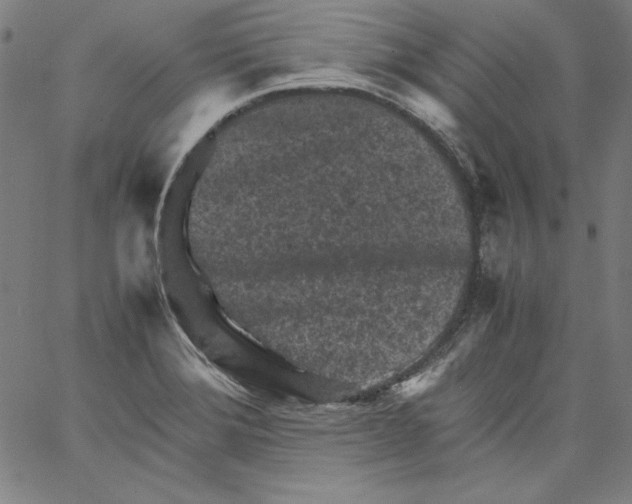 X0000066961372200604211830