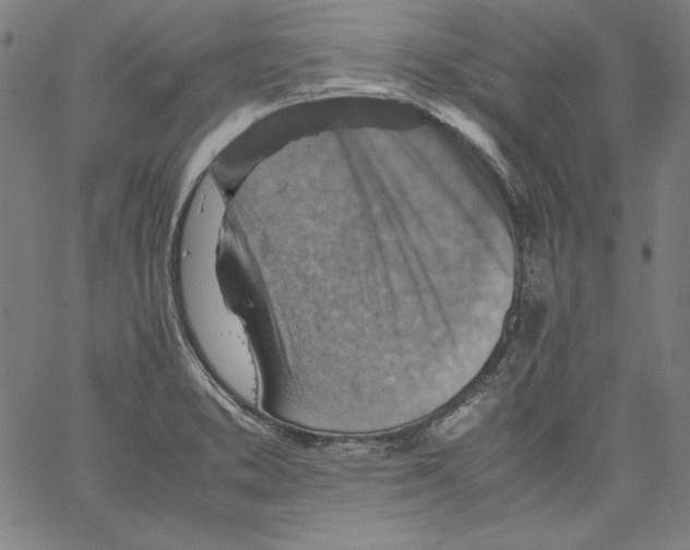 X0000066961373200604211830