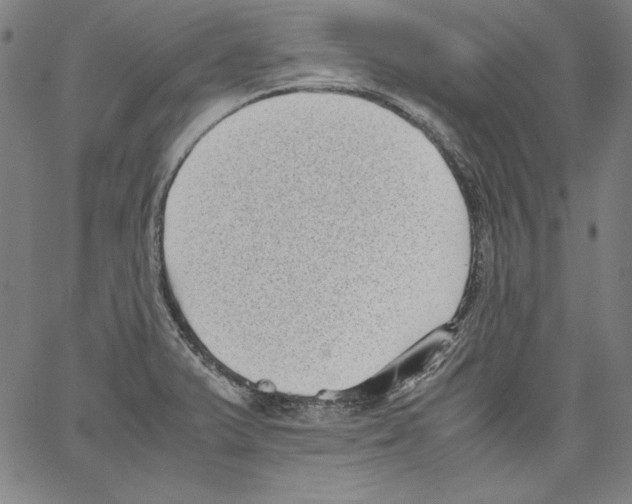 X0000066961375200604211830