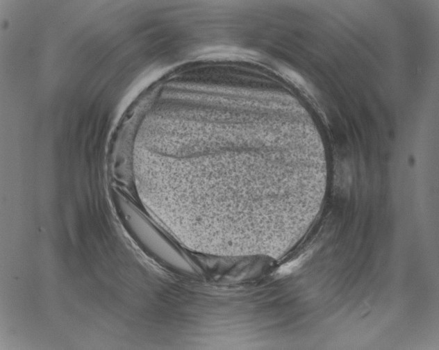 X0000066961376200604211830