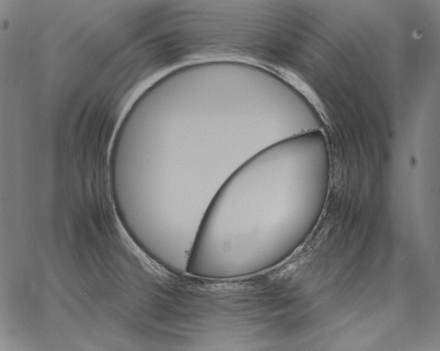 X0000066961380200604211830