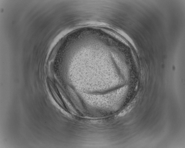 X0000066961381200604211830