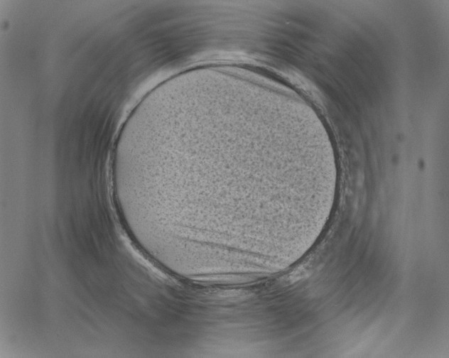 X0000066961382200604211830