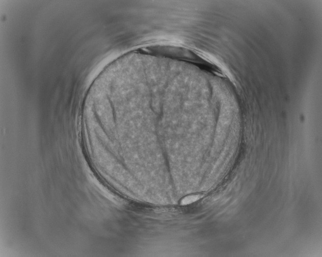 X0000066961383200604211830