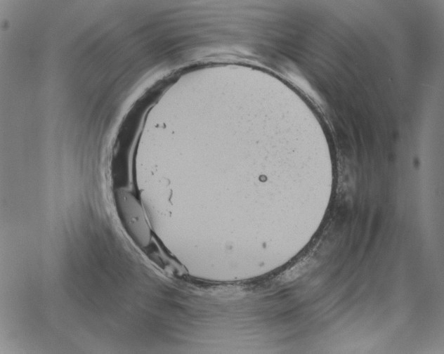 X0000066961384200604211830