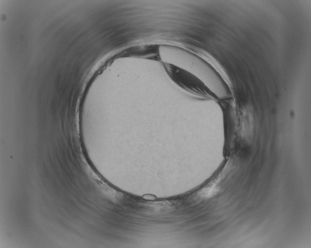 X0000066961388200604211830