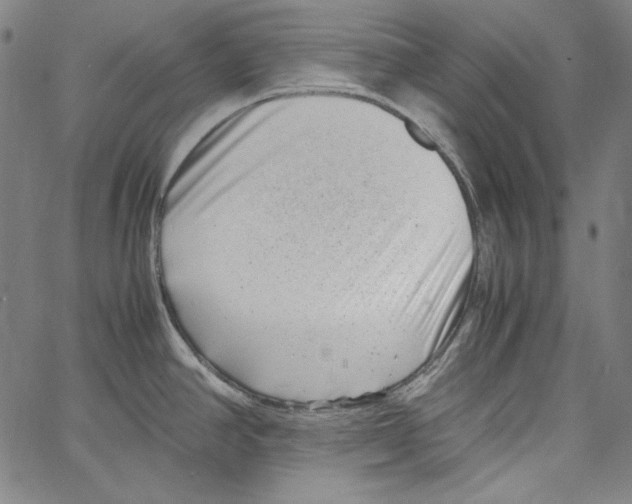 X0000066961390200604211830