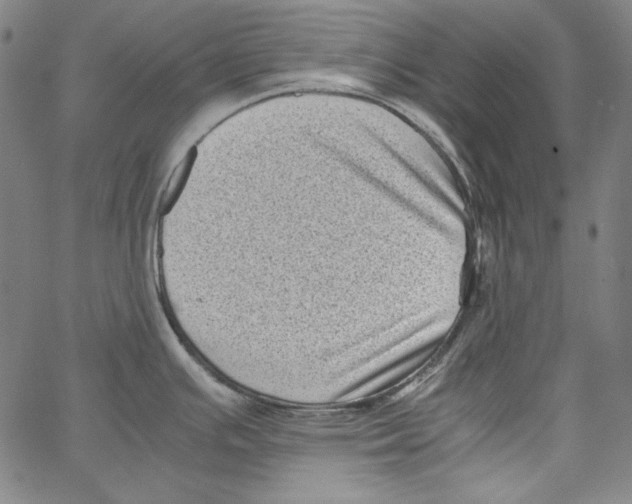 X0000066961391200604211830