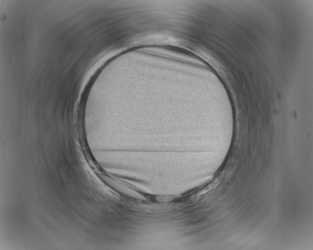 X0000066961392200604211830