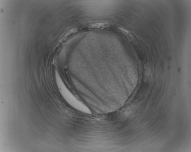 X0000066961394200604211829