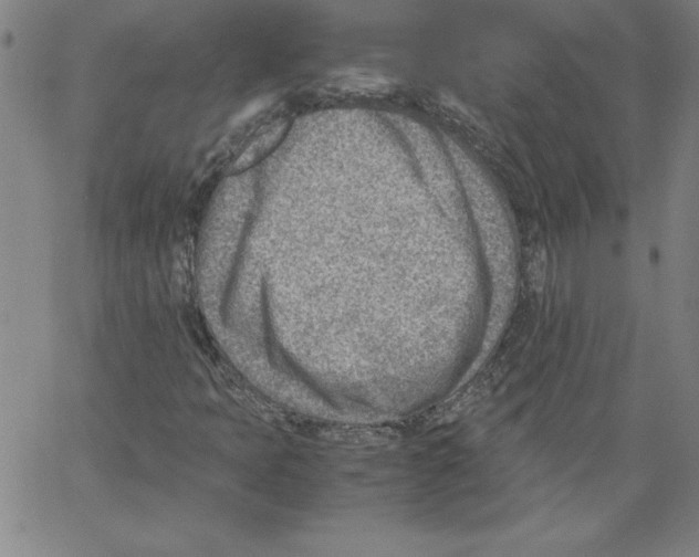 X0000066961397200604211829