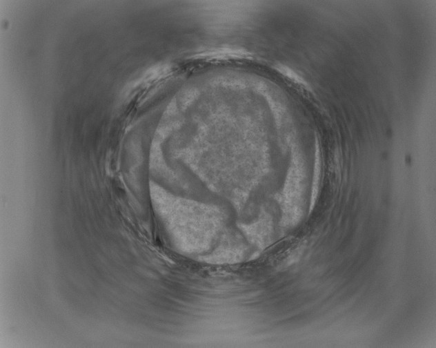 X0000066961398200604211829