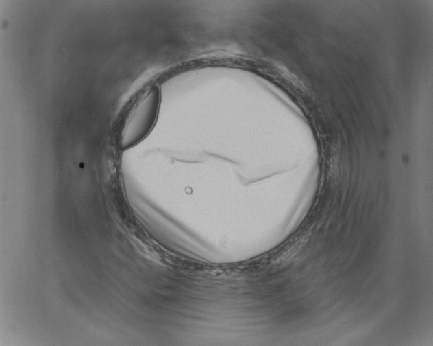 X0000066961400200604211829