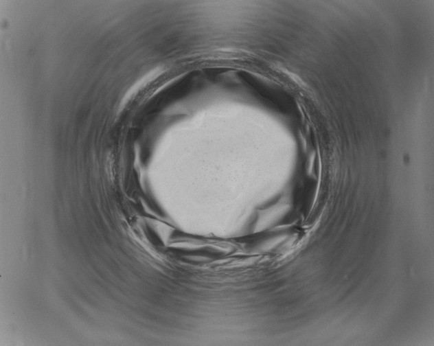 X0000066961402200604211829