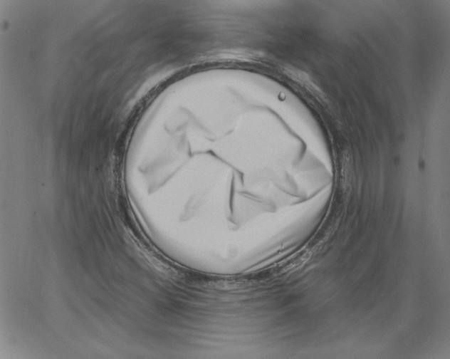 X0000066961404200604211829