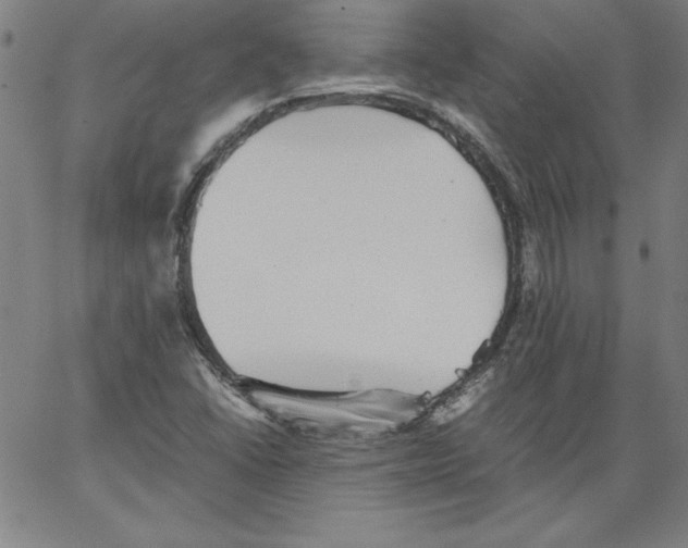 X0000066961406200604211829