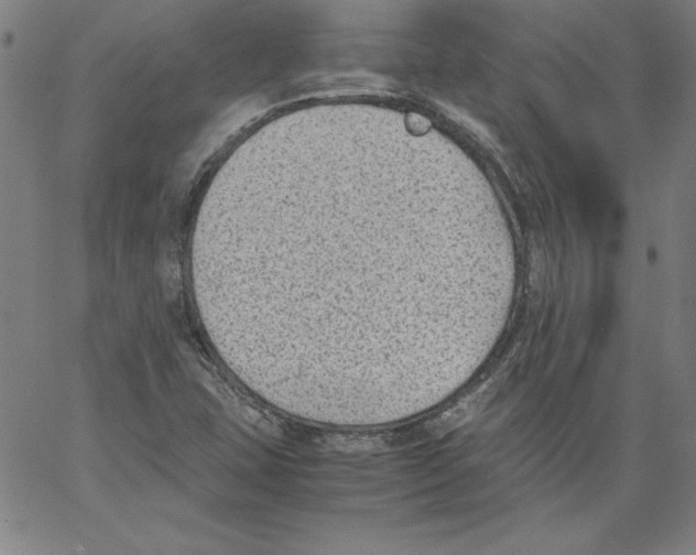 X0000066961407200604211829