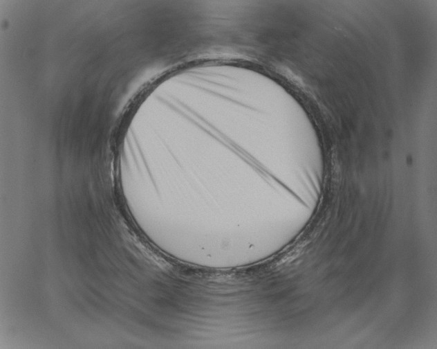 X0000066961408200604211829