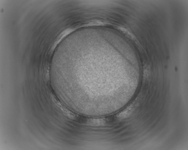 X0000066961409200604211829