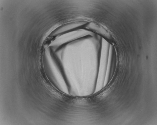 X0000066961410200604211829