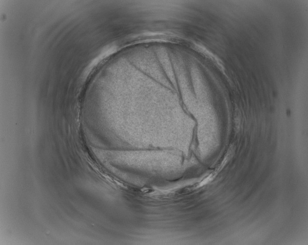 X0000066961411200604211829