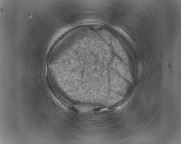 X0000066961413200604211829