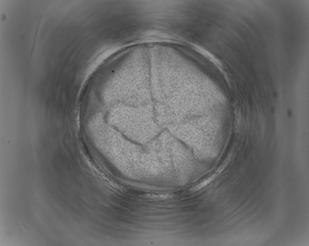 X0000066961415200604211830