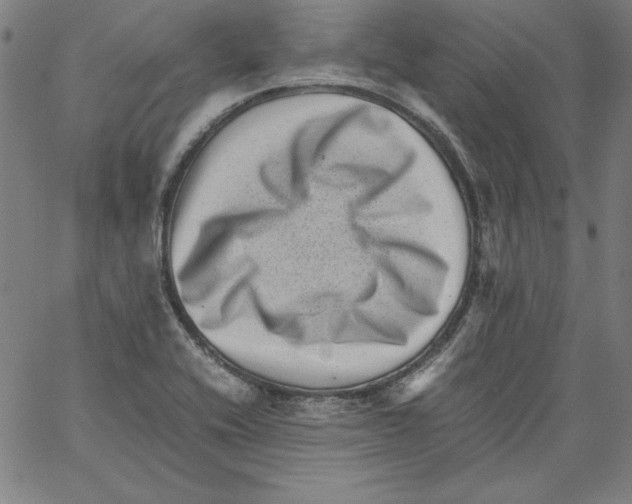 X0000066961416200604211830