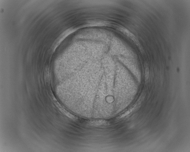 X0000066961417200604211830