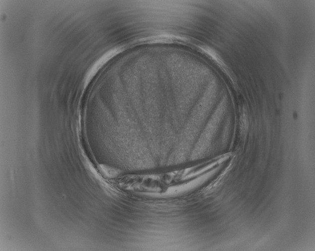 X0000066961418200604211830