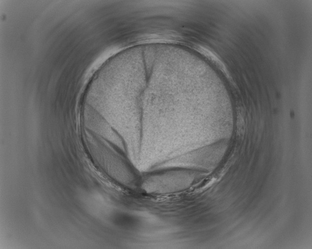 X0000066961419200604211830