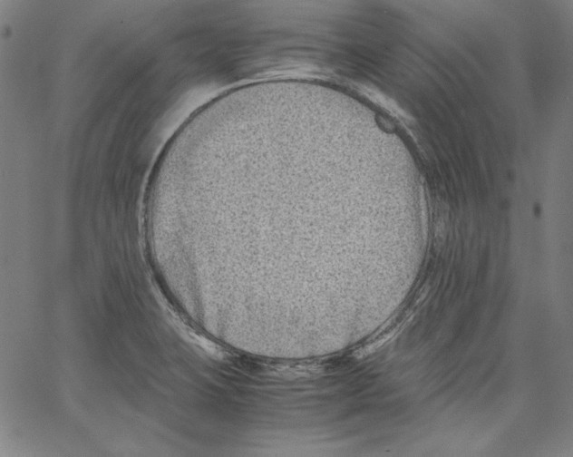 X0000066961423200604211830