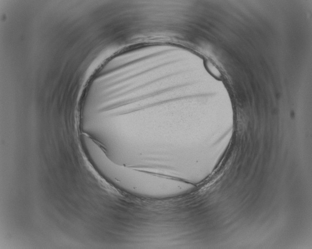 X0000066961424200604211830