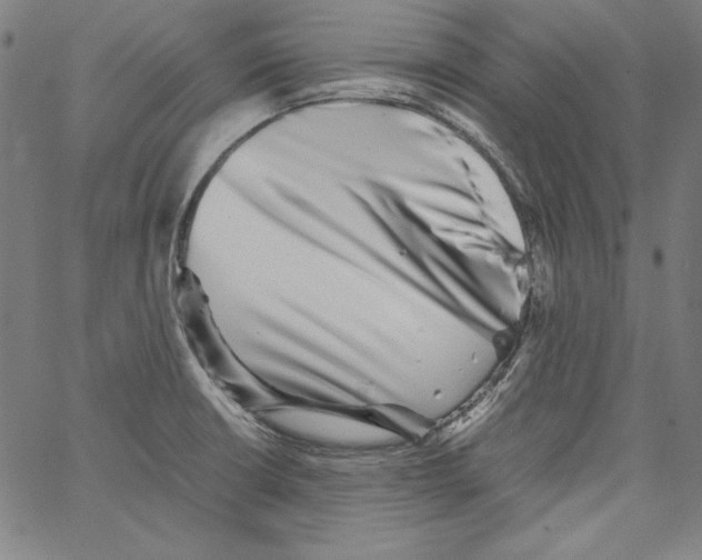 X0000066961426200604211830