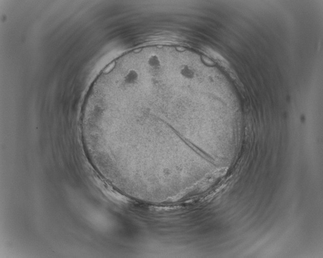 X0000066961427200604211830