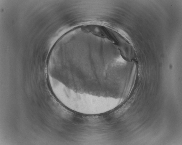 X0000066961428200604211830