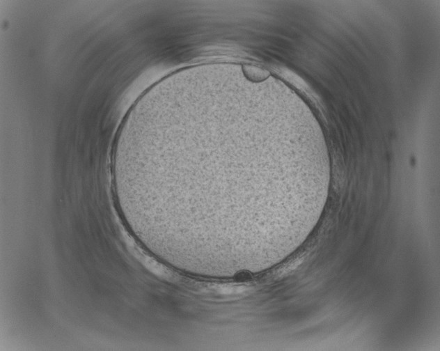 X0000066961431200604211830