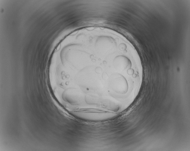 X0000066961432200604211830