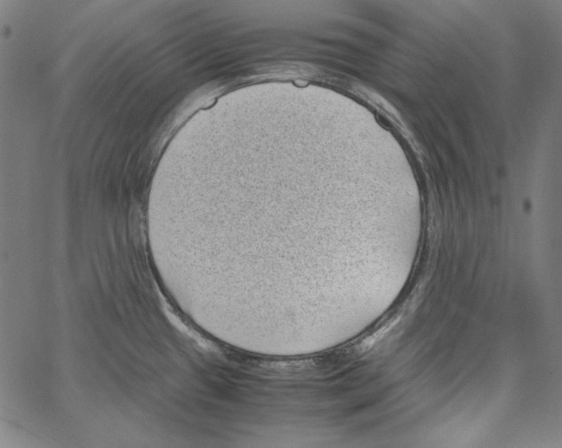 X0000066961433200604211830