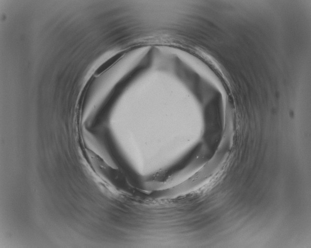 X0000066961434200604211830