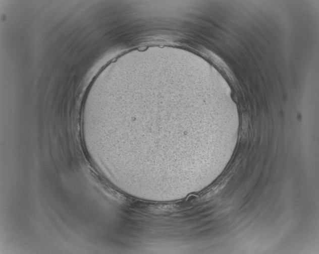 X0000066961435200604211830